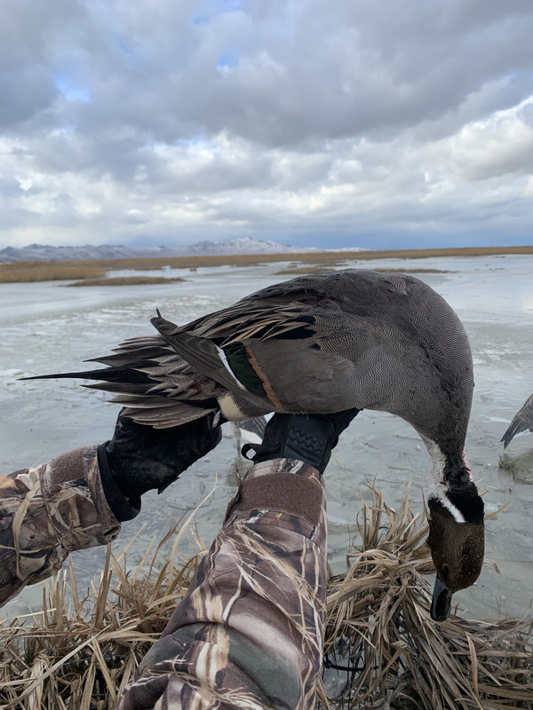 9D532D0B-0515-44D2-A960-6B5C6F17344C