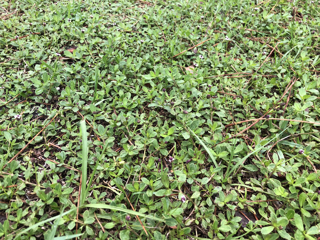 C907177C-09F8-4783-97CF-00ABBFDACE11