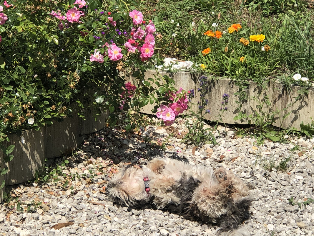 [Image: IMG-5945.jpg]