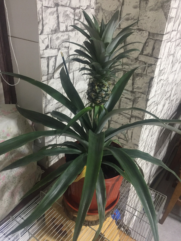 B1A0ED4A-33DE-485F-88B3-F697D4EF3E6B