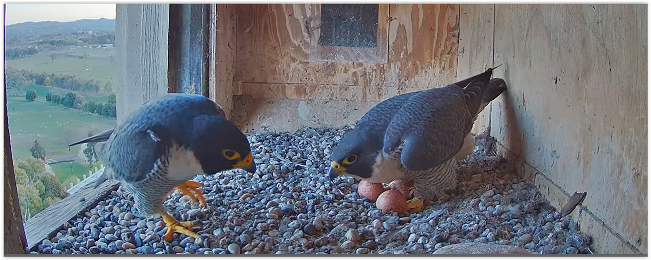 Screen Shot 09-04-23 at 09.34 AM