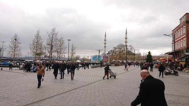 Estambul a mi aire - Blogs de Turquia - Día 2. Mezquita Azul – Mezquita de Suleiman – Mezquita Nueva – Bazar de las espe (8)