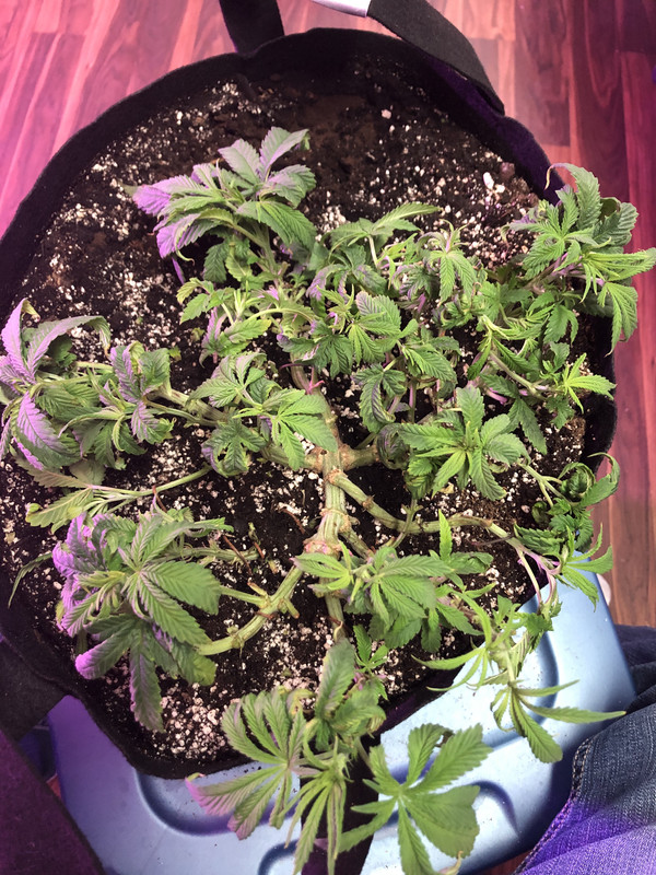 34210110-B68E-4649-B234-99AD2EFE80EB