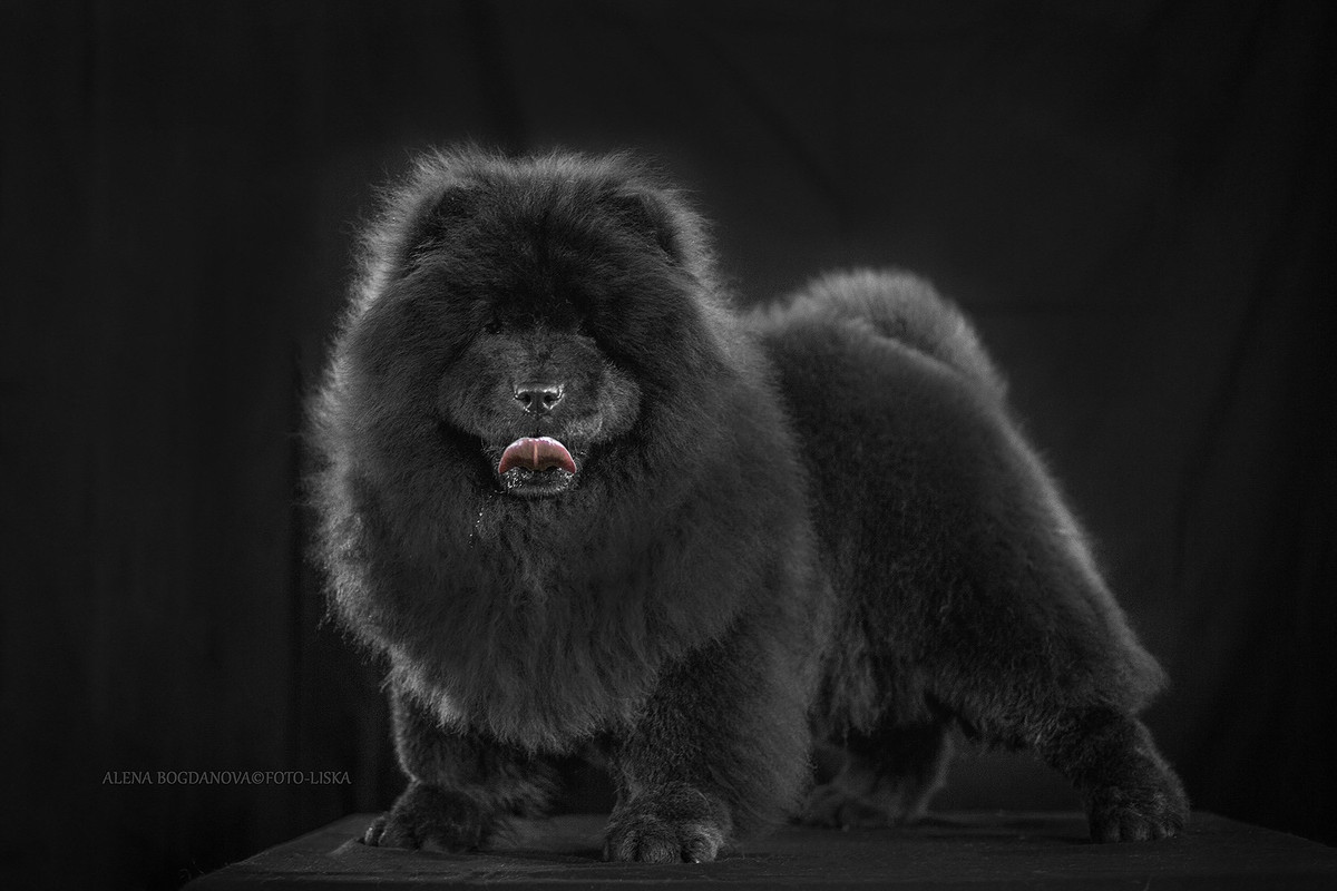 EB290745-3358-49B4-92C0-964B5801BC7A