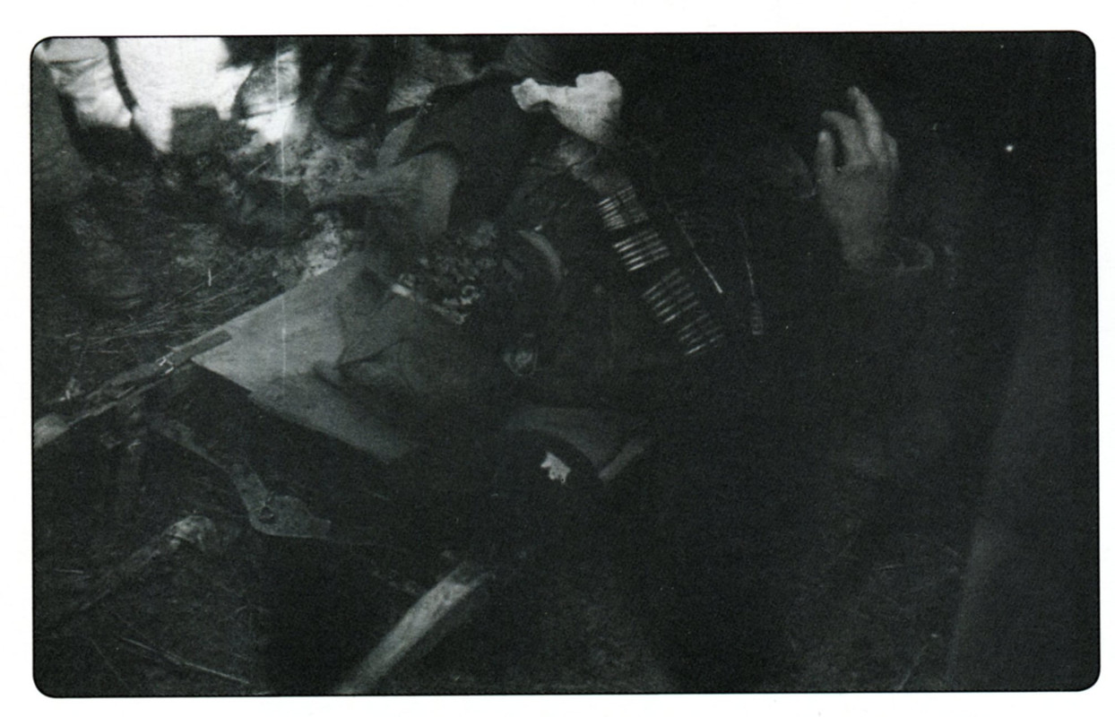 [Слика: 186478054-1920004311490481-205388399971213446-n.jpg]