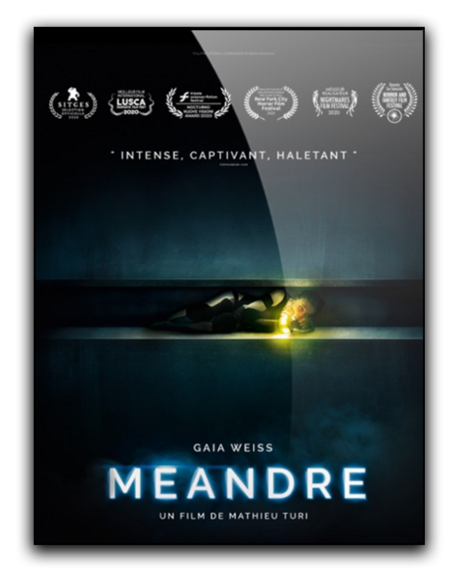 Meander / Méandre (2020) PL.480p.BDRip.XviD.DD2.0-K83 / Lektor PL