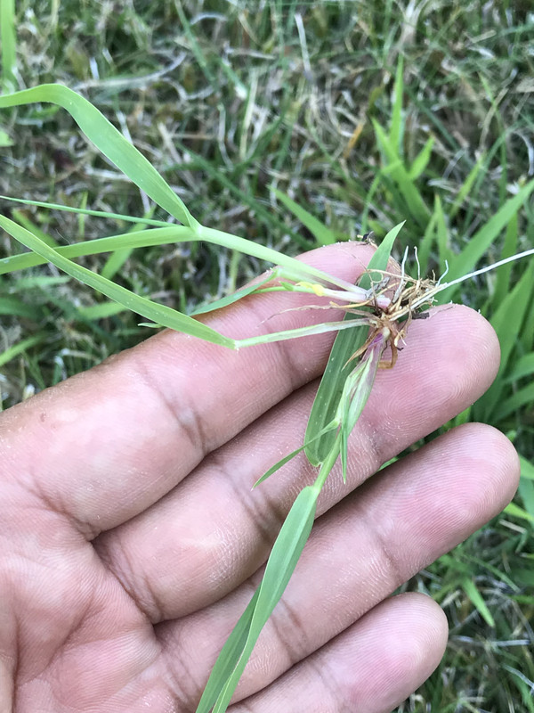 C96CADCF-BD97-4A84-84C1-F9B97547709B