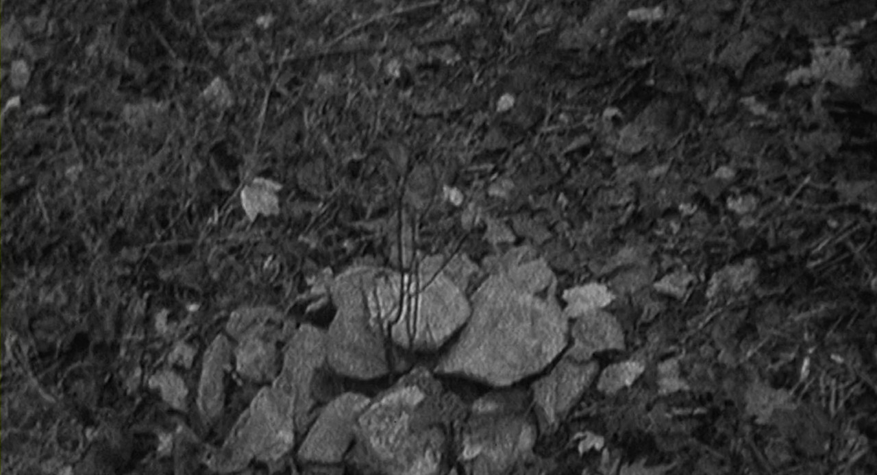 The.Blair.Witch.Project.1999.NORDiCSUBS.1080p.WEBRip.10Bit.x265-SWAXX.mkv.0005