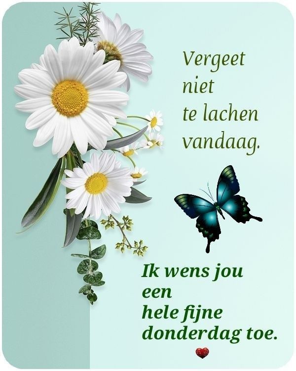 338944c9d7d90edaf7c671ddf3c4d97d