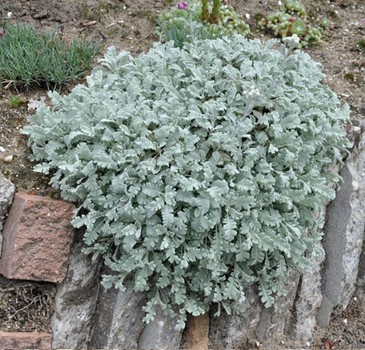 05F7A929-EB1D-46E8-81E7-C671D90118B6