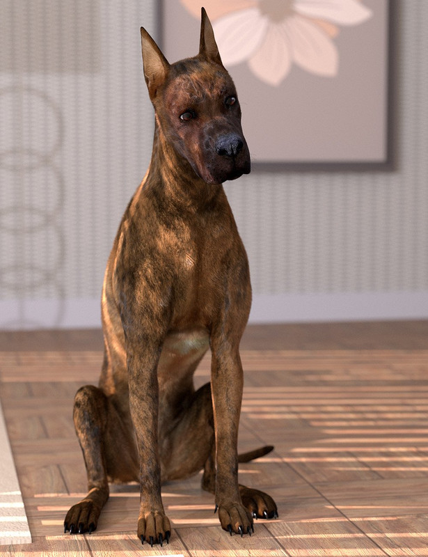 Oso Dog Fur for Daz Dog 8