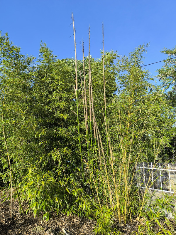 IMG 20260507 184705