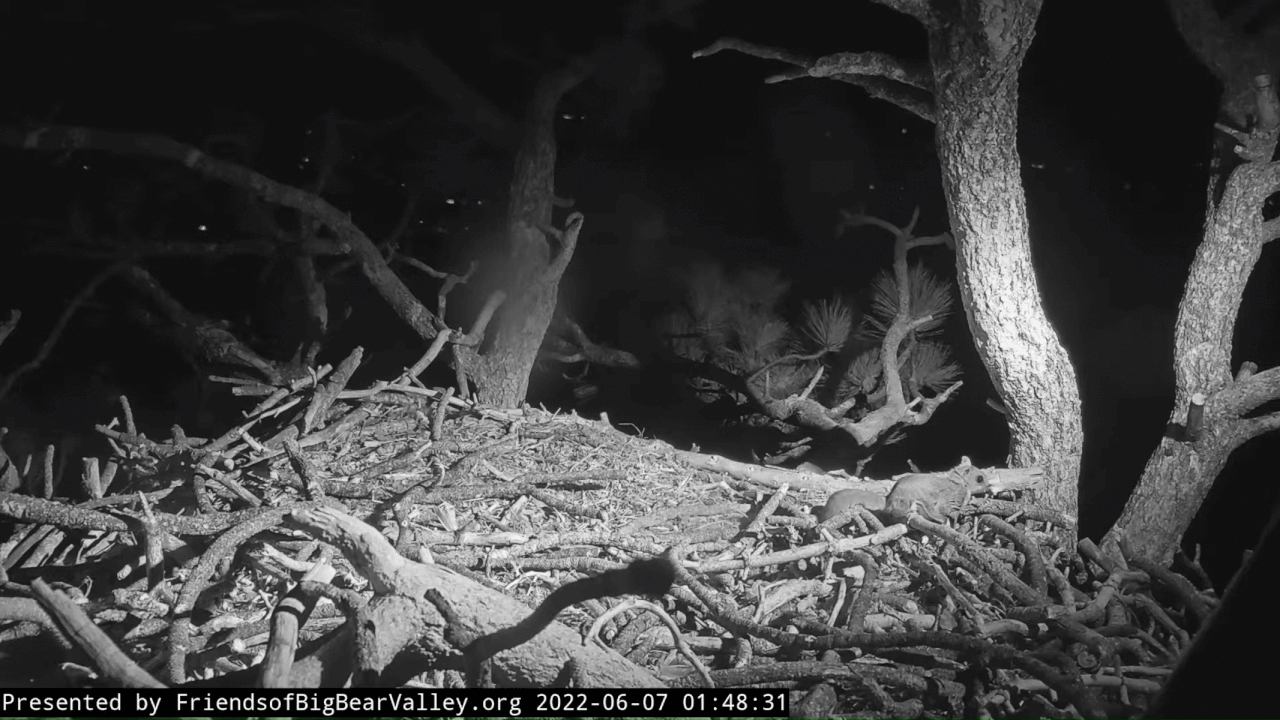 Webp.net-gifmaker (6)