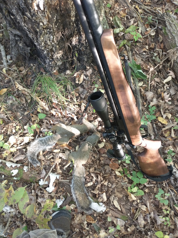 IMG_20210918_081125527