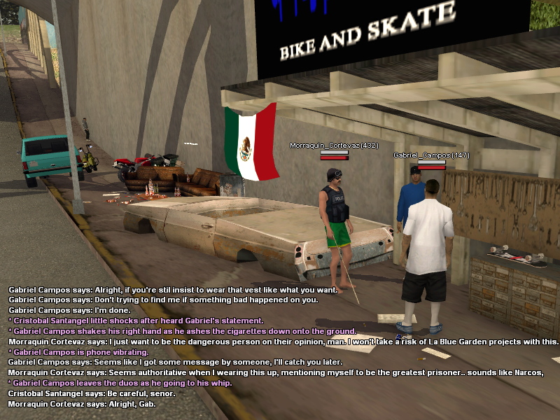 SS5.png