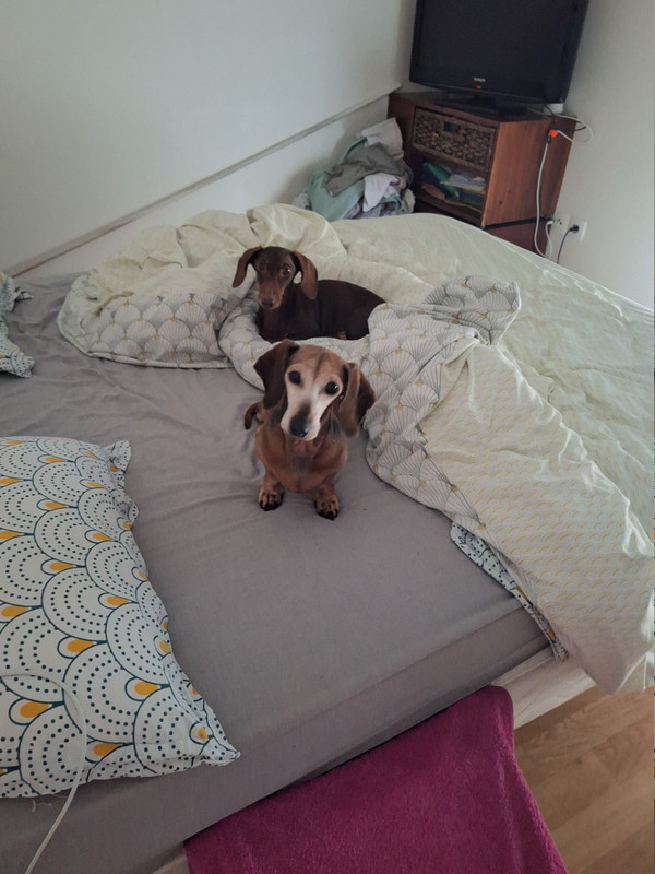 [Image: 20250918-195035.jpg]