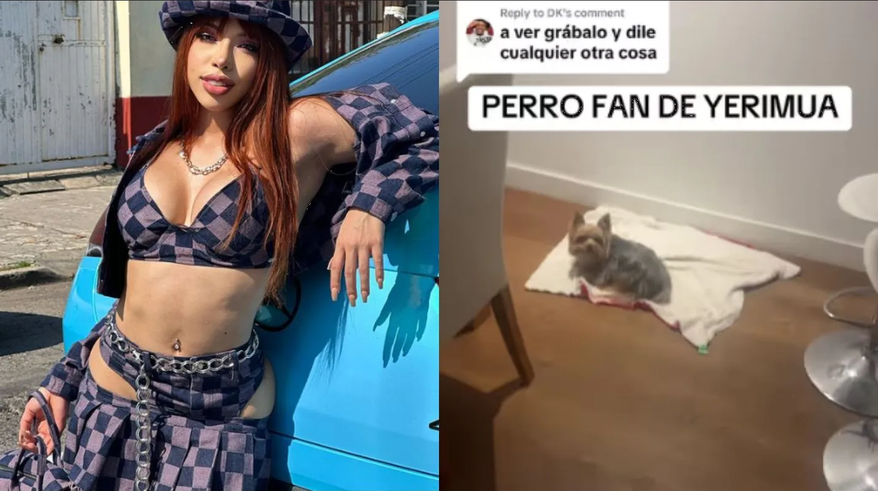 Este perrito se hace el fan número 1 de la influencer Yeri Mua