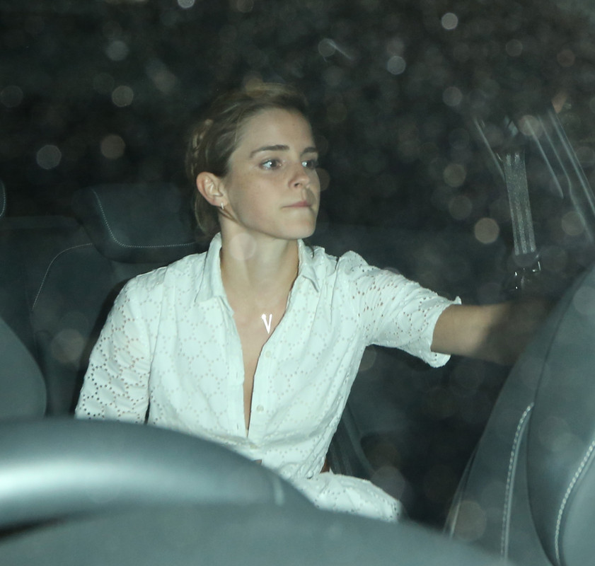 watsonuncensored.blogspot.com (58)