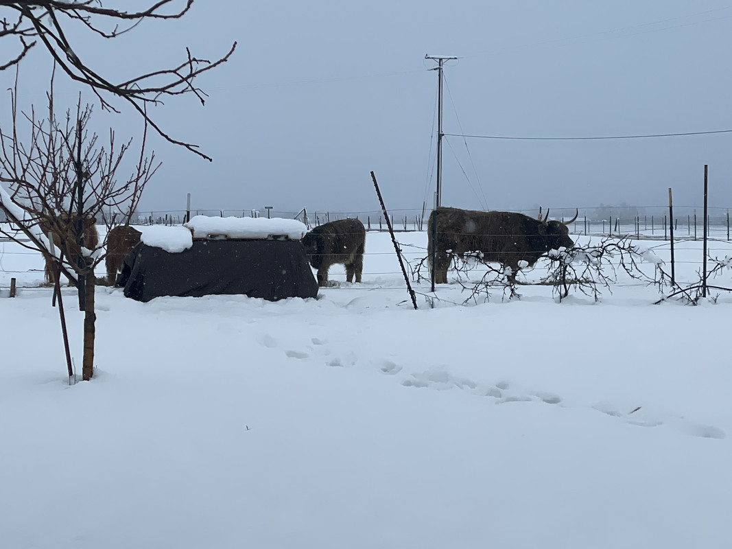 1A93B404-CAA3-47C6-B84D-410130486B28