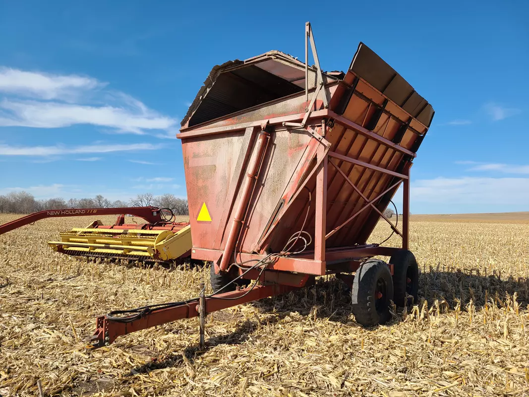 20250311_150713 (Copy)