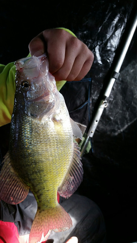 Skeeter Crappie 2 Jan 6 2018