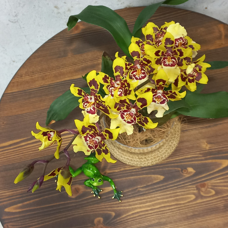 k Xo Yh RWPWKjy KCssf JJCRGqml4Dl Dw NVW4CMrppj7wks CEUmf MIwlw Mm8lwd U1o97MA cobk Aw1l5WFq 8uy Ur 