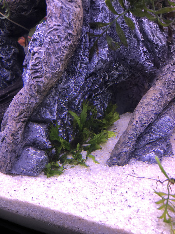 AB770A79-15E2-47F0-8FFE-03944B1E8EE1