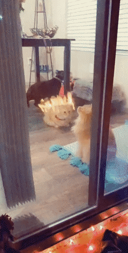 88k.gif