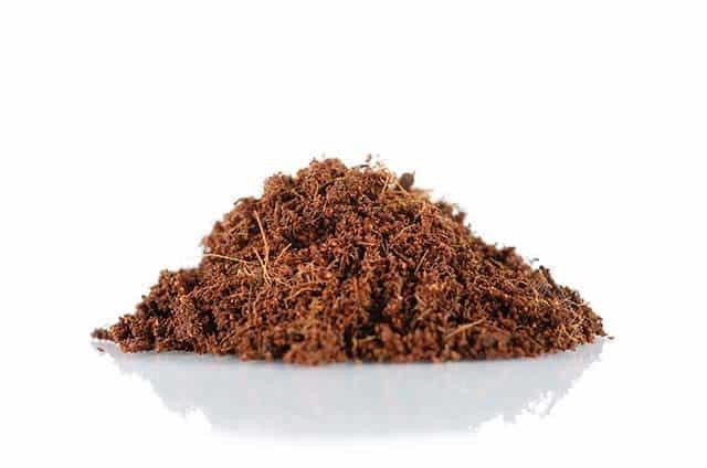 [Image: CD2-A8-DF5-A41-A-4-A73-B2-CB-36-ACB09-E3195.jpg]