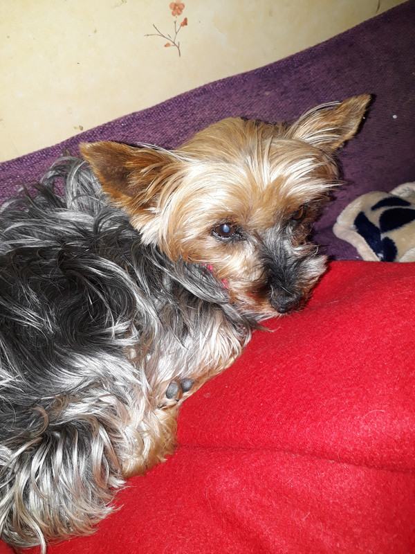 [Image: 20230806-113753.jpg]