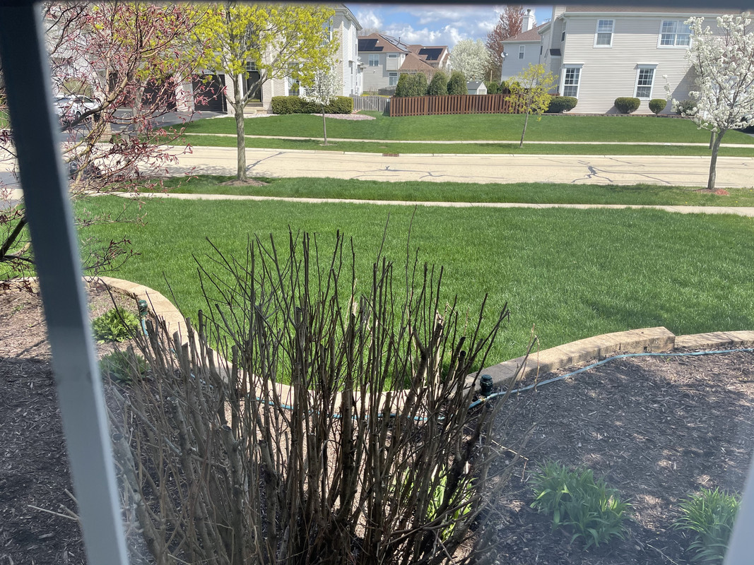 6D6AE1BF-7E8B-40A6-A7FE-A7823555A67F