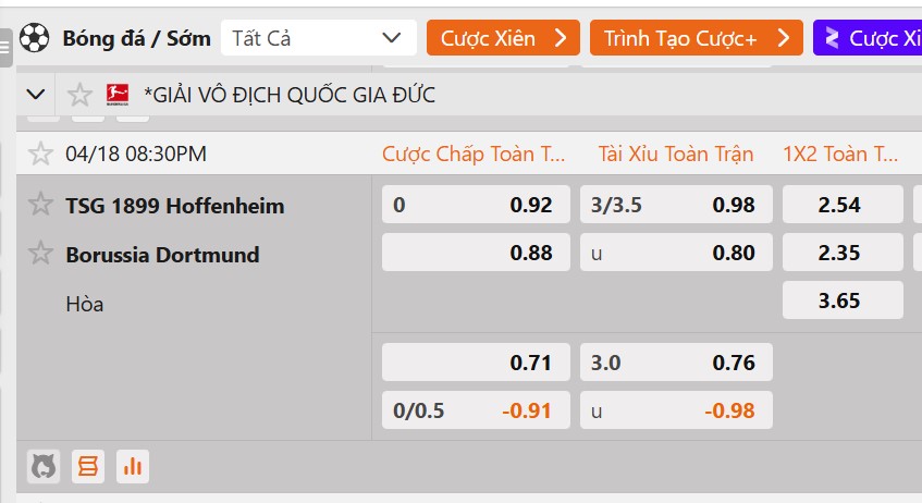 Tỷ lệ kèo Hoffenheim vs Dortmund
