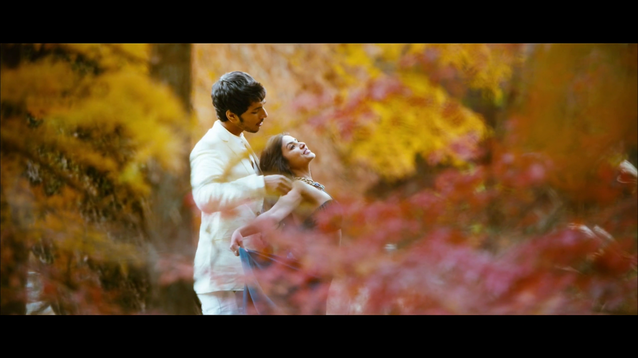 vlcsnap-2024-05-14-23h44m19s536