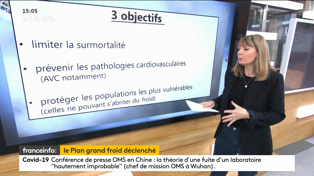 02.09 - 12.59.00 - Le 14h-17h. Au sommaire   Vrai ou fake. - francein..._001.ts_snapshot_00.30.620