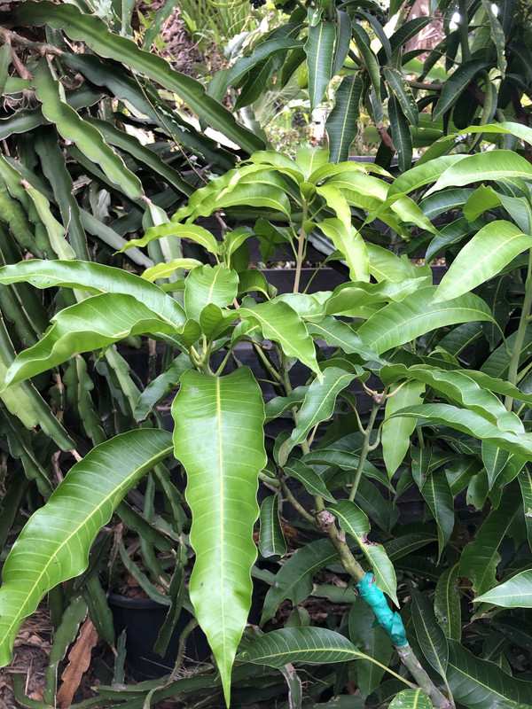 DD30E60A-7412-4086-8208-D22DD061F575