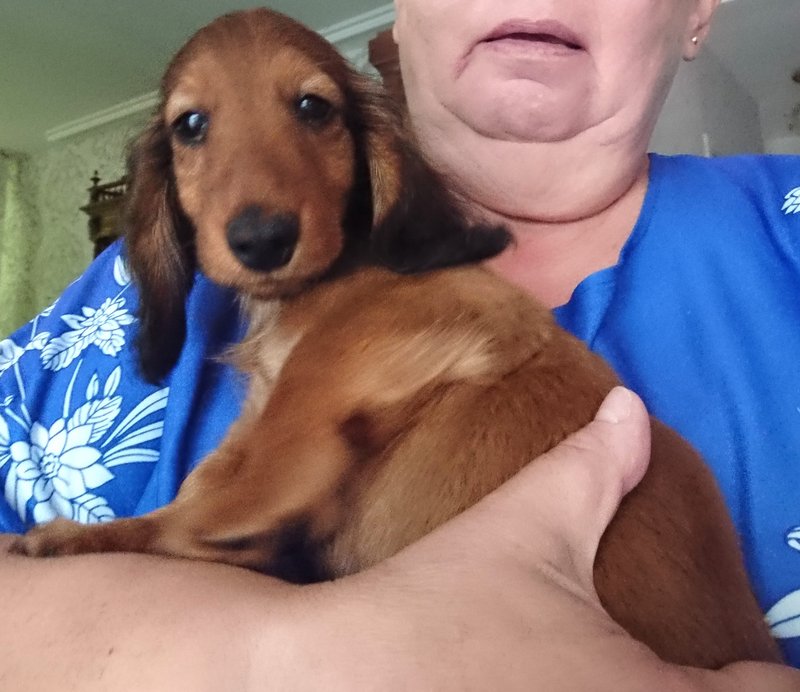 [Image: DSC-2999.jpg]