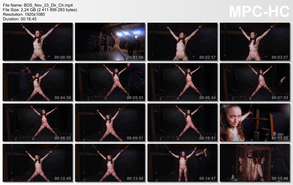 BrutalMaster 5 Movies 8