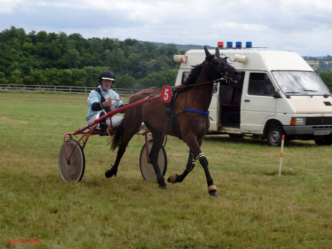 8DSC05961