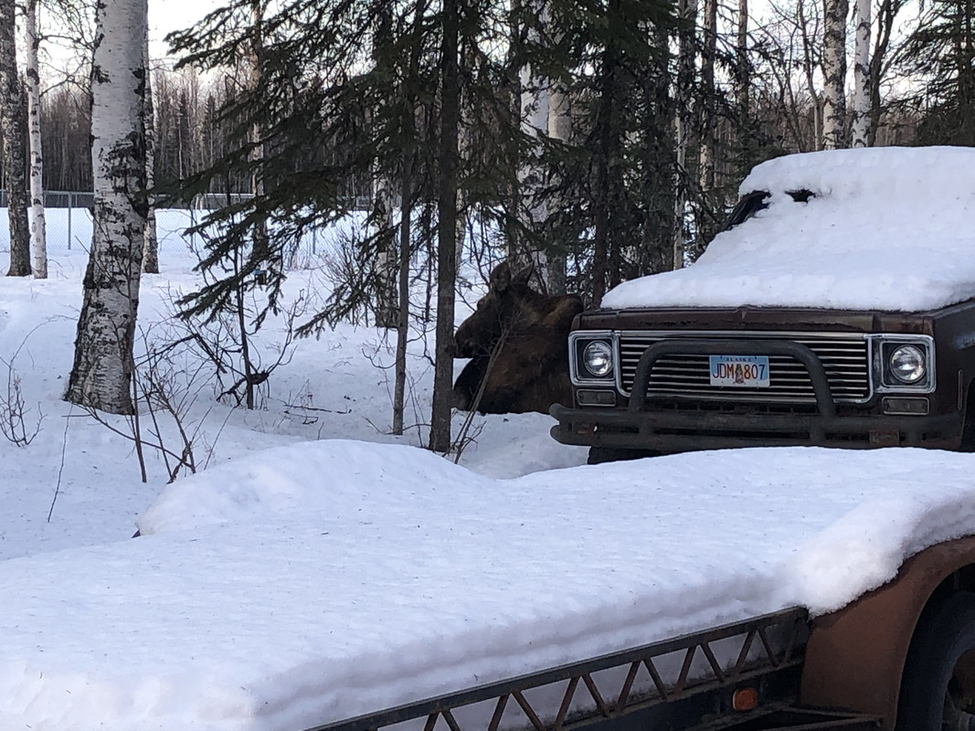 224EA378-2441-4AE2-9A7F-6E087A4289BC