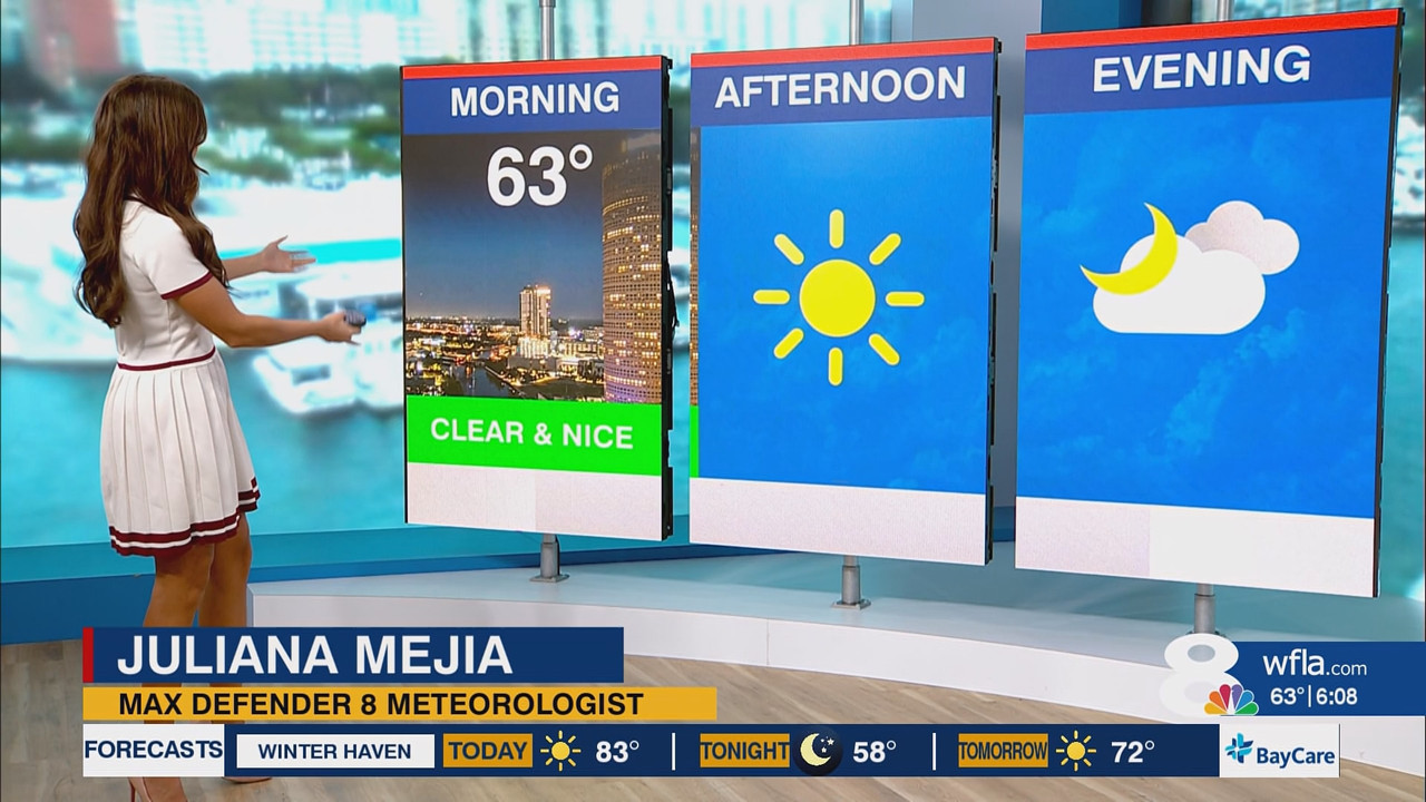 News Channel 8 Today at 6a 20251105 11001200 ts snapshot 00 09 57 458
