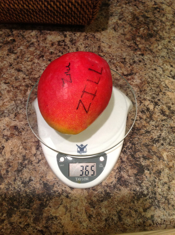 1bcad29d46e51b46a779a5e2c813f419