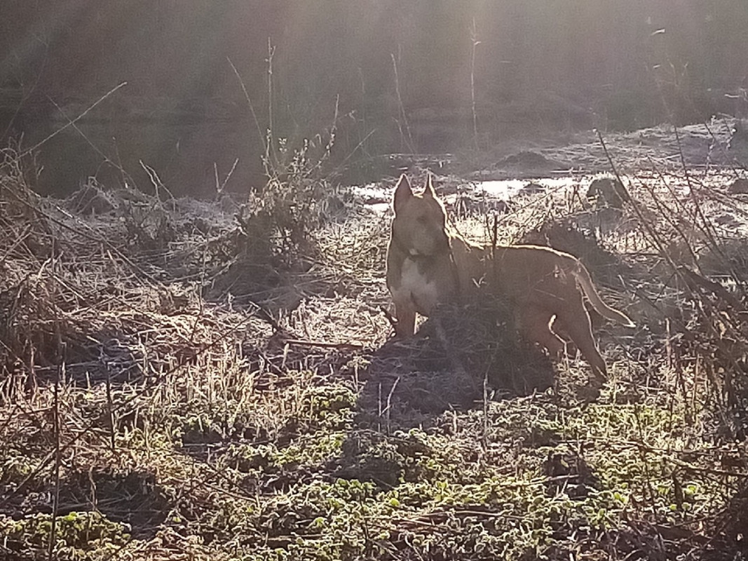 E1D60686-5A50-4791-BC06-4431148A8128