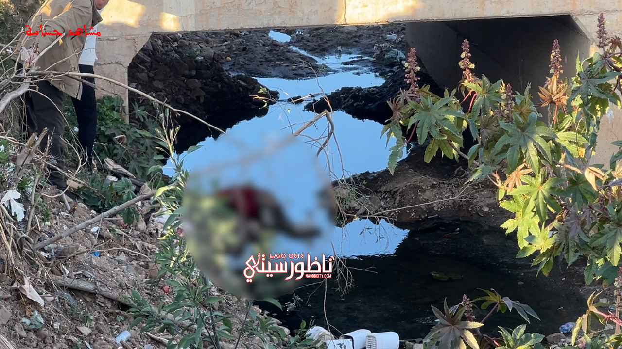 Sequence-01-00-00-20-03-Still005