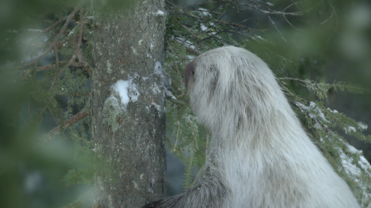 vlcsnap 2025 11 26 03h03m48s485