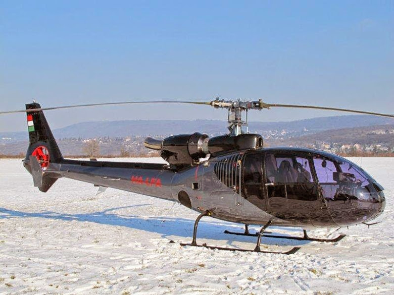 HA-LFA Hungary January 2011 (1)