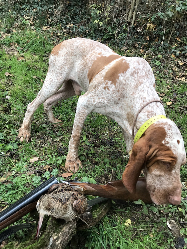 56F20590-5057-4BCE-9383-4824AE2E4ACB