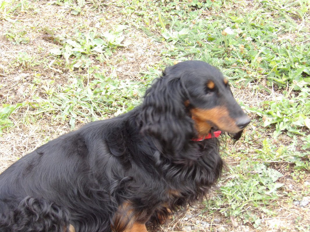 [Image: 125-0048.jpg]