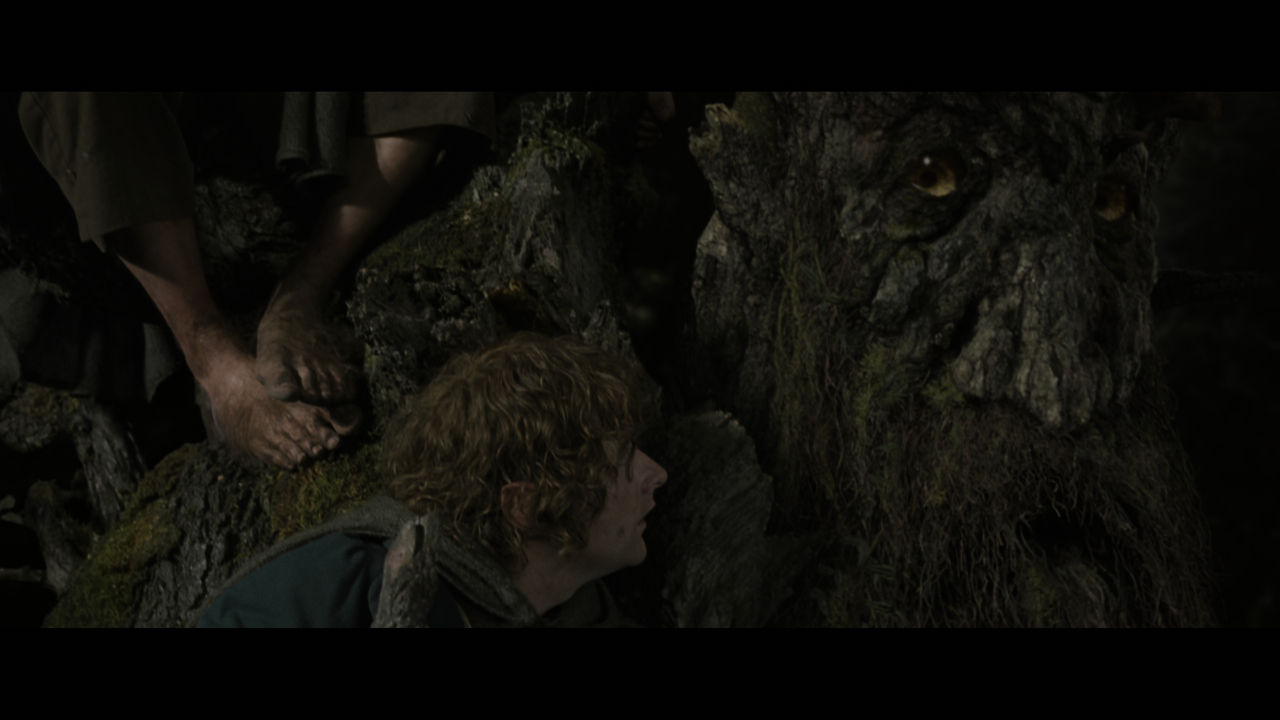 The Lord of the Rings- The Two Towers (EXT.) PT. 2.mkv_snapshot_00.49.54_[2020.12.10_19.12.08]