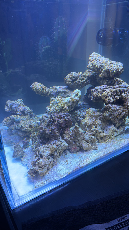 FA2476E9-D667-4768-A28A-D334B99DA46E