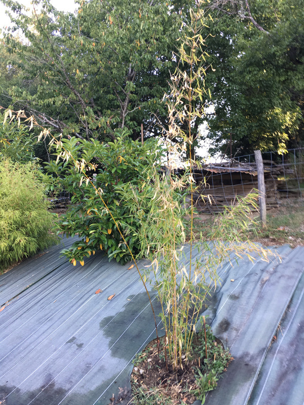 265BDC60-9765-4302-B821-754E0AF12DD4